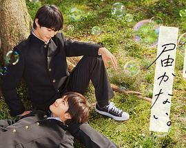 欧美一级精品大全海报剧照