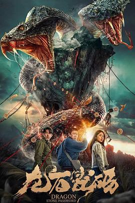 盐源美食海报剧照